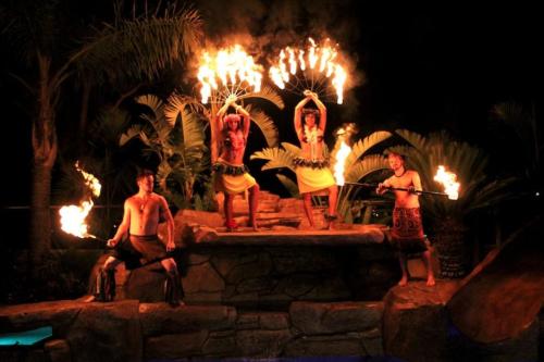 1385082673_568791846_12-Hula-Dancers-Hire-a-Hula-Dancer-Polynesian-Dancers-Call-us-Today-